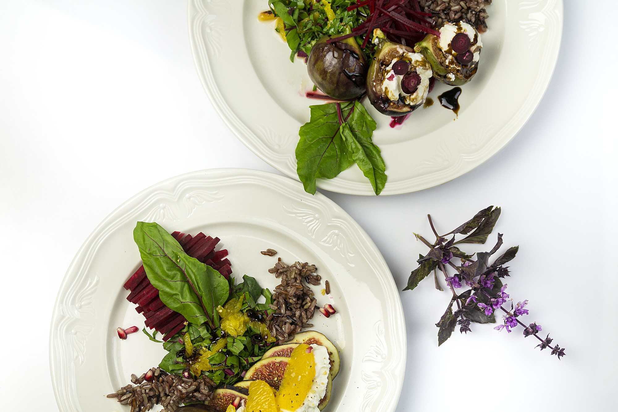 close up of herb garnish on plated dish